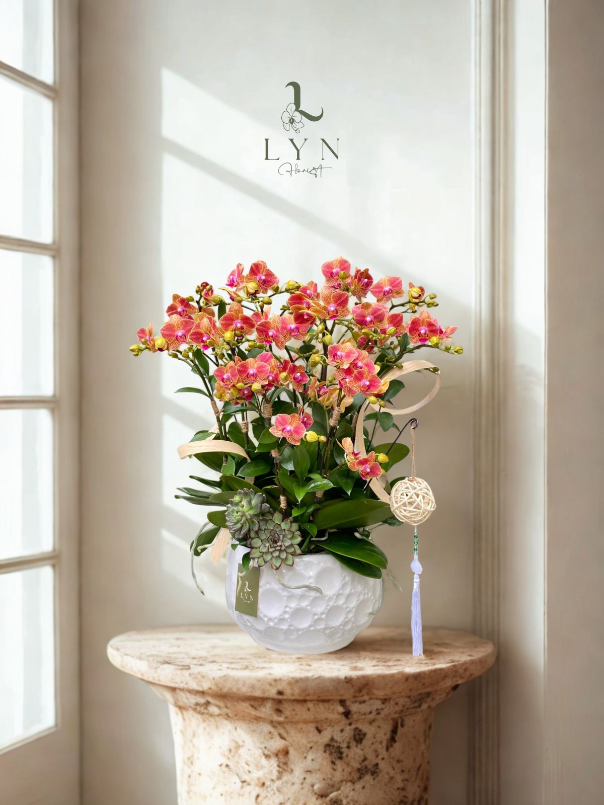 Chậu Hoa Lan Tiểu Hồ Điệp Cam